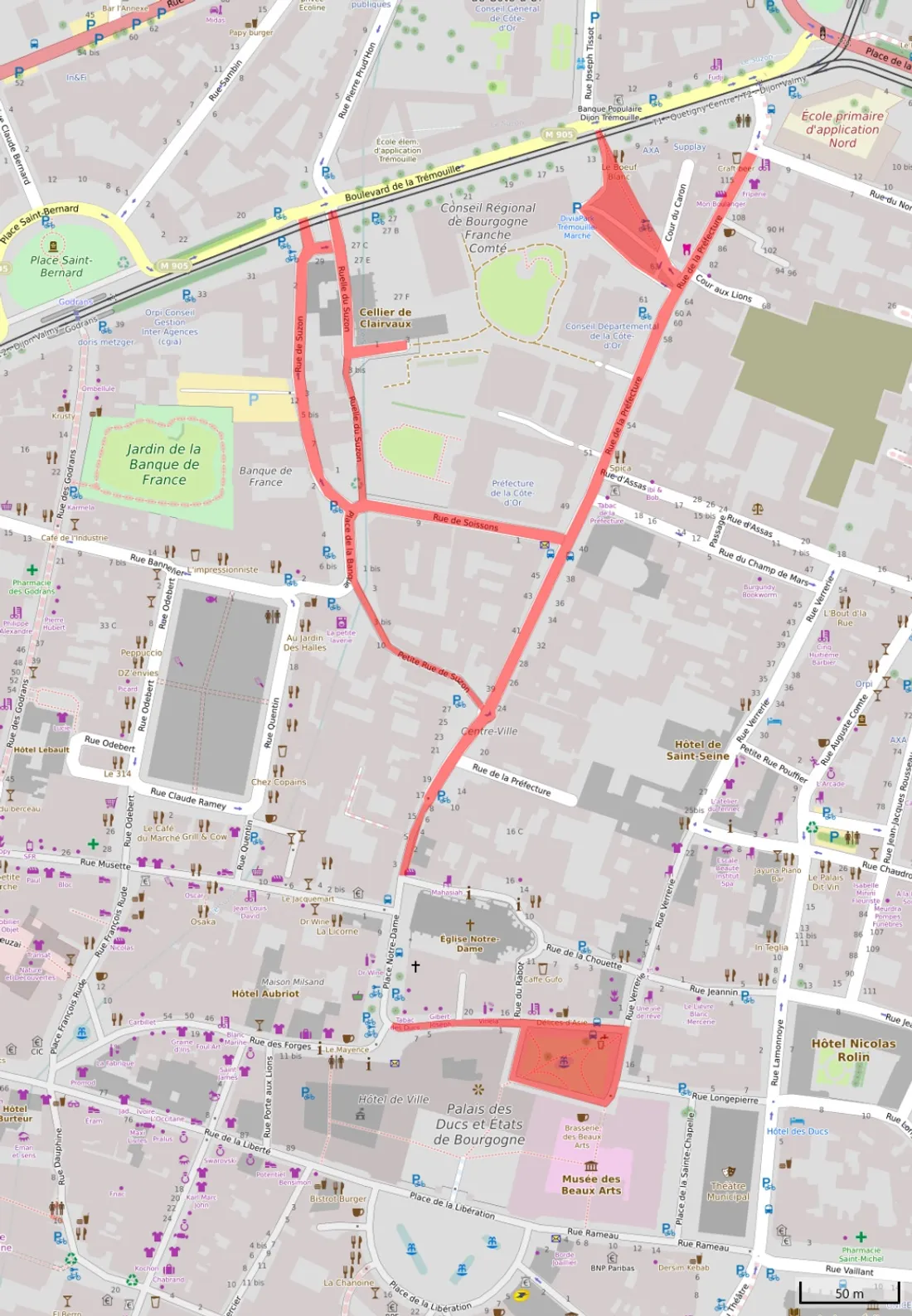 Dijon : La préfecture interdit de manifester sur certaines voies du centre-ville
